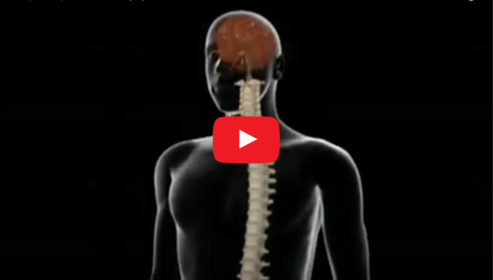 Health Guide Video